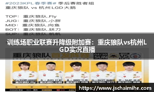 训练场职业联赛升降级附加赛：重庆狼队vs杭州LGD实况直播