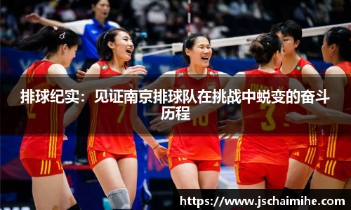 排球纪实：见证南京排球队在挑战中蜕变的奋斗历程